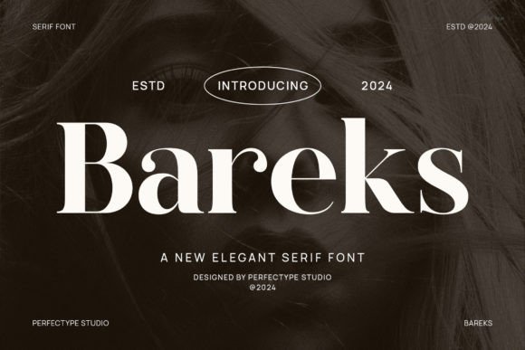 Bareks: A Serif Font That Elevates Brand Campaigns