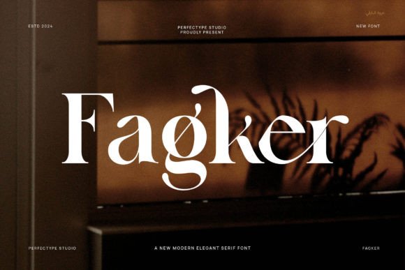 Fagker: A Serif Font That Elevates Digital Branding