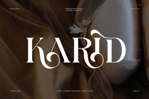 Font Choice That Speaks Volumes: Karid in Action
