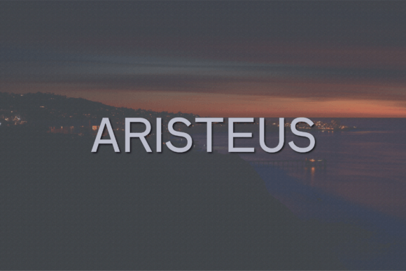 How Aristeus Helped My Bakery Look More Professional