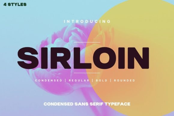 Mastering Editorial Design with Sirloin