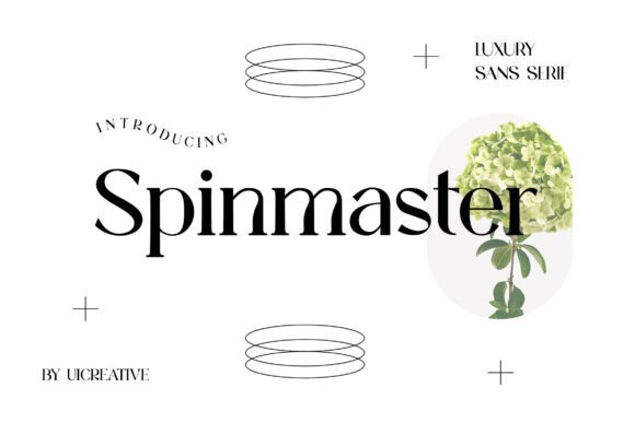 Spinmaster: The Font That Elevates Your Brand