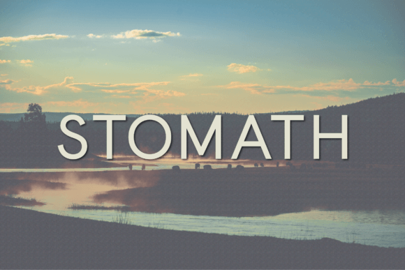 Stomath: The Font That Helped My Bakery Look More Professional