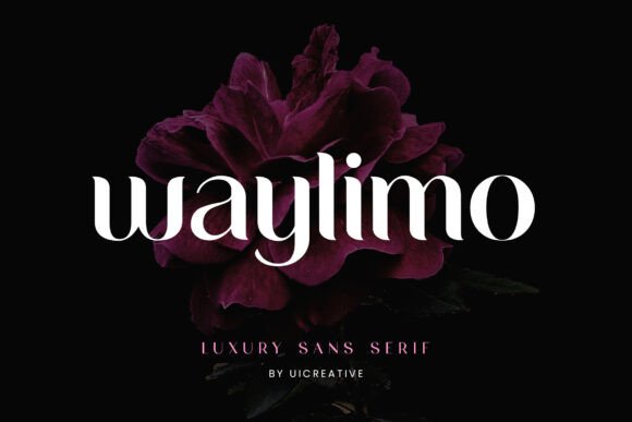 Waylimo: A Font That Elevates Your Brand